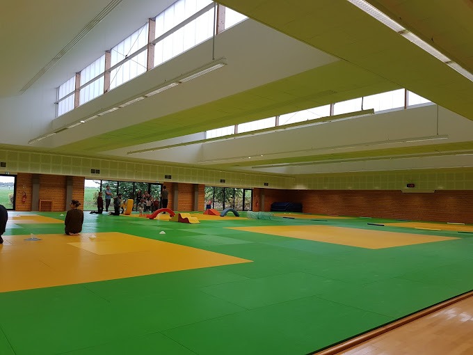 Tatami de l'IPMS Reims