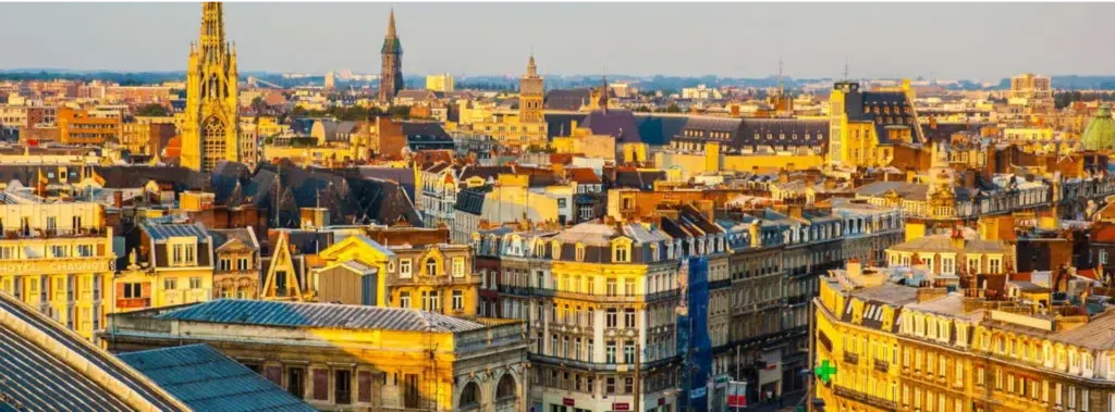 Vue panoramique du centre-ville de Lille au coucher du soleil.